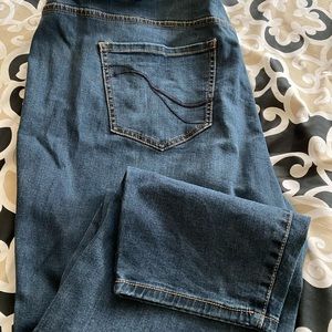 Lane Bryant Jeans